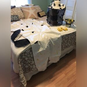 Bee Keeper’s Costume & Bee Wings